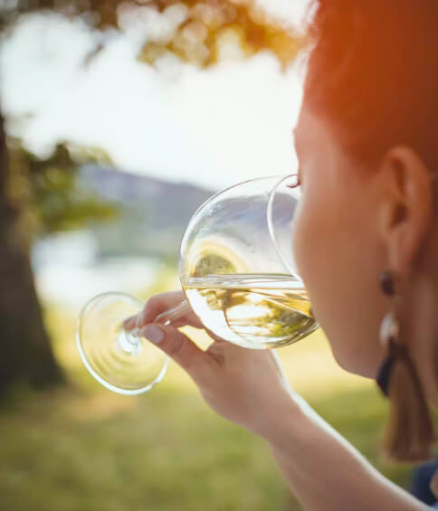 wine tours limo service